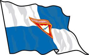 Bandeira dos Desbravadores  (com franja)
